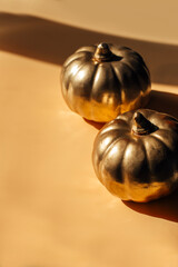 golden pumpkins on a light background. autumn concept