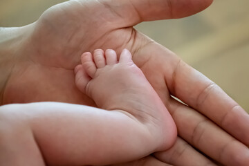 Obraz na płótnie Canvas Baby feet on the palm
