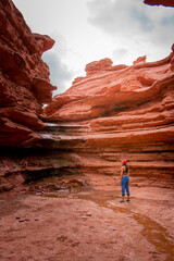 person in the desert