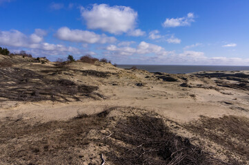 High sand dunes. Picturesque sea shores. Curonian Spit on the Baltic Sea.