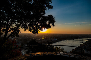 Fototapeta na wymiar A tree is covering part of the Budapest sunrise