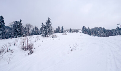 Fototapeta na wymiar Kalte und verschneite Winterlandschaft auf einer Alm in den bayerischen Alpen an einem stürmischen Schneetag 