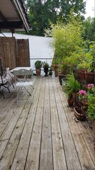 Obraz premium Sommerliche Balkonidylle mit Pflanzen