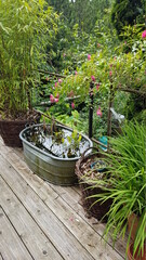sommerliche Gartenidylle mit Teich in der Wanne