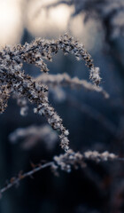 Silent Time