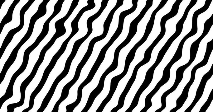 Thick black and white striped animation, abstract background with wavy lines, line art, two colour stripes, vector motion video with calming effect, slow moving of geometrical shapes