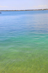 Some photos from the sea and wildlife in Syracuse, ancient city built by Greeks, taken during a summer trip to Sicily.