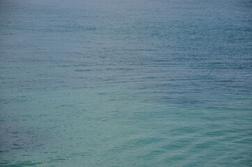 Some photos from the sea and wildlife in Syracuse, ancient city built by Greeks, taken during a summer trip to Sicily.