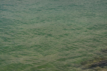 Some photos from the sea and wildlife in Syracuse, ancient city built by Greeks, taken during a summer trip to Sicily.