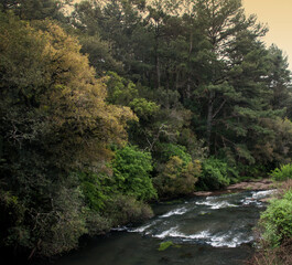 mountain river in the forest in Gramado , Rio Grande do Sul 