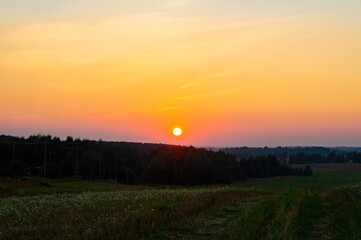 Fototapeta na wymiar Beautiful sunset over green summer field