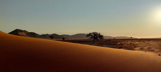 Fototapeta na wymiar Africa, Namibia