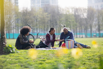 Father and kids enjoying picnic in sunny urban park grass