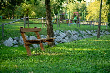 Fototapeta premium wooden bench in a green park in the evening