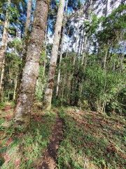 Trip do Gonçalves - MG