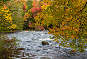 Photo of vibrant fall foliage overhanging a river