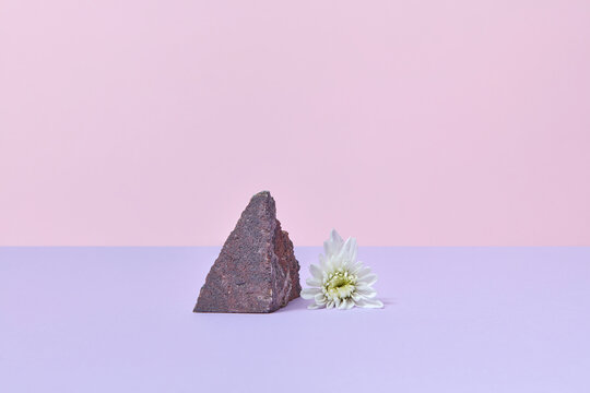 Stone and white flower
