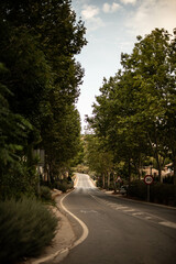 Fototapeta premium Carretera de un pueblo de andalucia españa malaga con arboles al rededor 