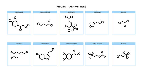 Chemical formulas of neurotransmitters