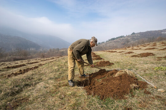 Planting Fruit Trees