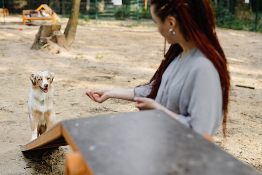 Woman training dog on playground 