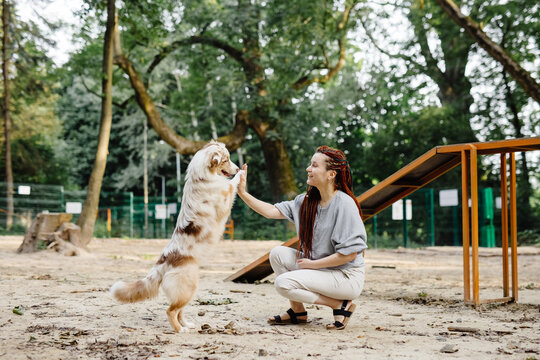 Dog executing commands of female trainer 