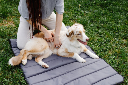 Woman caring about her dog 