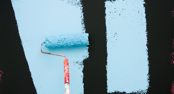 Paint roller with paint