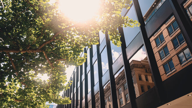 Reflections in downtown Washington, DC.