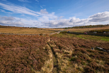 Path across Derbyshire moorland