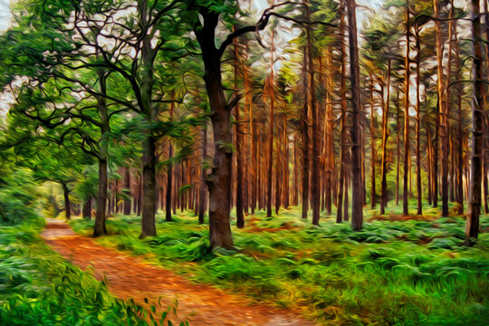Dirt trail through trees in the Sherwood Forest near Nottingham. A city famous for its link to the Robin Hood legend, in England. Oil paint filter.