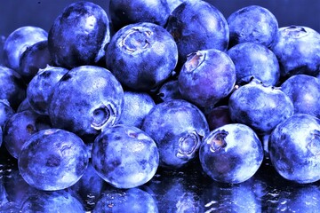 blueberries on a white background