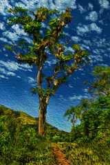 Fototapeta na wymiar Big tree at the end of dirt path passing through hilly terrain at the Petar Park. A region famous for cave tourism in Brazil. Oil Paint filter.