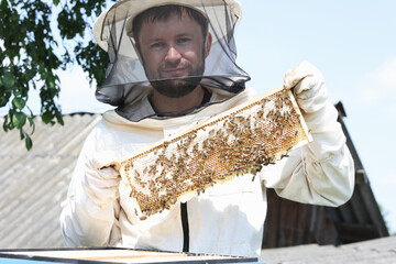 Male beekeeper in a protective suit holds honeycomb with bees