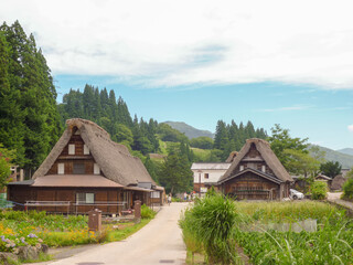 Fototapeta na wymiar View of a village in Gokayama, Japan