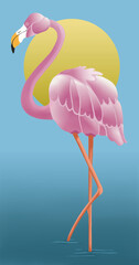 Flamant-rose