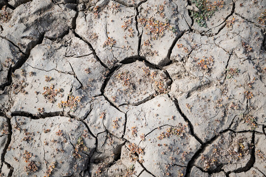 Close up photo of a section of cracked, dry mud where a marina existed prior to California's current drought.