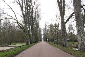 alley in the park