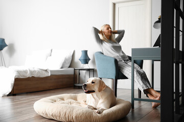 Cute Labrador dog lying on pet bed at home