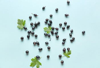 Sweet black currant on color background