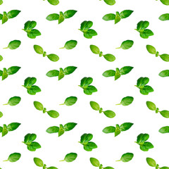 Seamless pattern of fresh green basil leaves isolated on white background. Top view