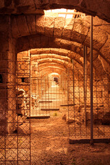 The Agora of Smyrna, alternatively known as the Agora of İzmir (Turkish: İzmir Agorası), is an ancient Roman agora located in Smyrna (present-day İzmir, Turkey). Originally built by the Greeks