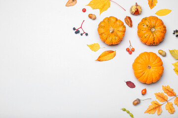 Autumn composition with ripe pumpkins and fallen leaves on white background, closeup