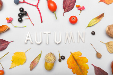 Composition with word AUTUMN and natural forest decor on white background, closeup