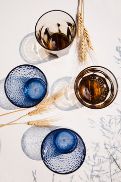 Blue and brown tumblers in the sun