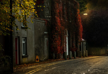 street in the town autumn evening