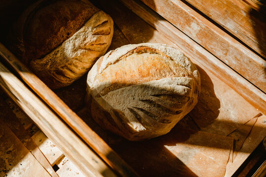 fresh bread