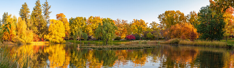 Fototapeta na wymiar Panorama of Neighborhood Park with Pond during Colorful Autumn Fall Leaves