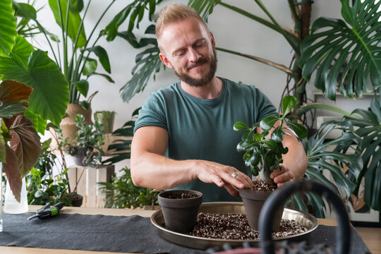 Man Repotting a plant at Home