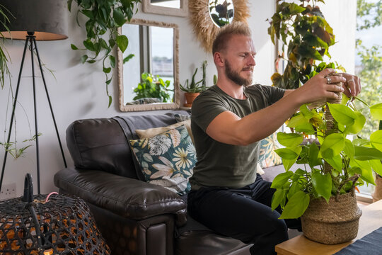 Man Tiding up a plant at Home